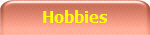 Hobbies